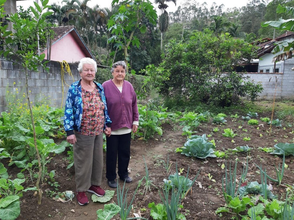 Hortas, pomares e criações nos tempos dos quintais 1 Nos distritos rurais ainda existem casas com quintais. Acervo pessoal