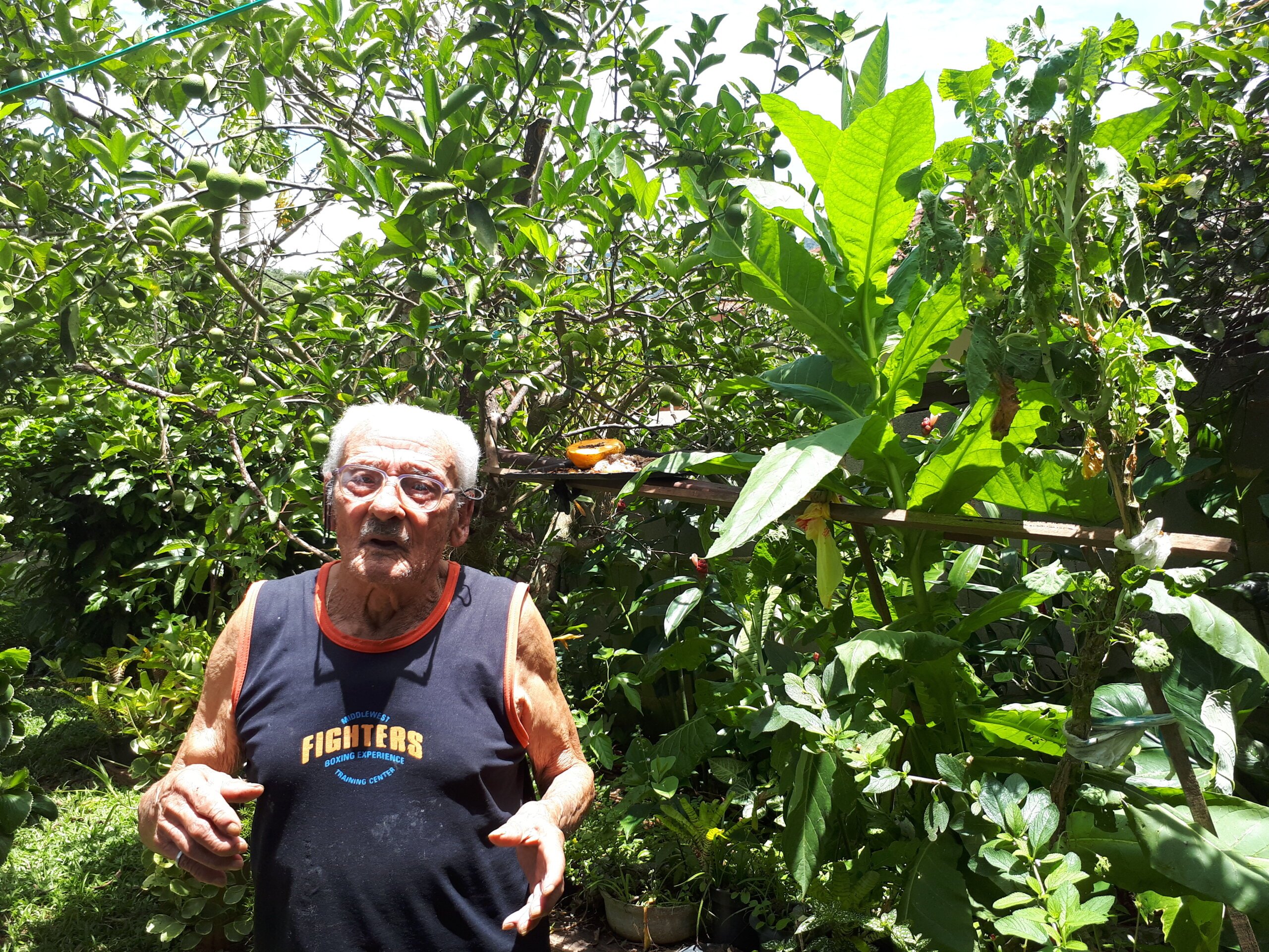 Friburgo: Vida caipira na toca de pedra em São Pedro da Serra 4 O Sr. Moacyr com 101 anos em seu quintal. Acervo pessoal