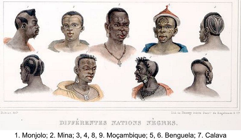 Imigrantes suíços: a migração para Cantagalo 3 As diversas origens dos negros que atuaram no desenvolvimento do Brasil, na visão de Debret.