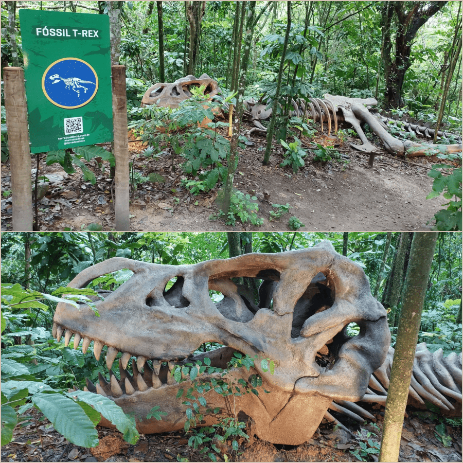 Visita ao Parque dos Dinossauros de Miguel Pereira 2 tirano fossil