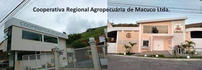 WhatsApp Image 2022 12 03 at 09.03.27