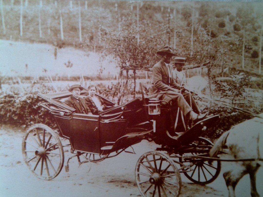 Prefeitura desapropria palacete histórico em Nova Friburgo; entenda a história 5 Antônio e Carolina na carruagem da família. Acervo Áurea Maria Almeida