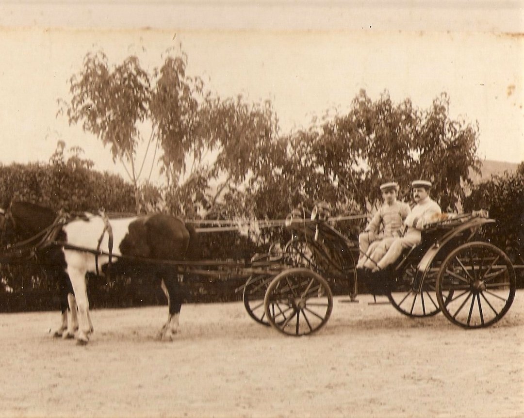 A tuberculose e o Sanatório Naval de Nova Friburgo 13 Charrete que servia de transporte até o advento do automóvel. Acervo Sanatório Naval