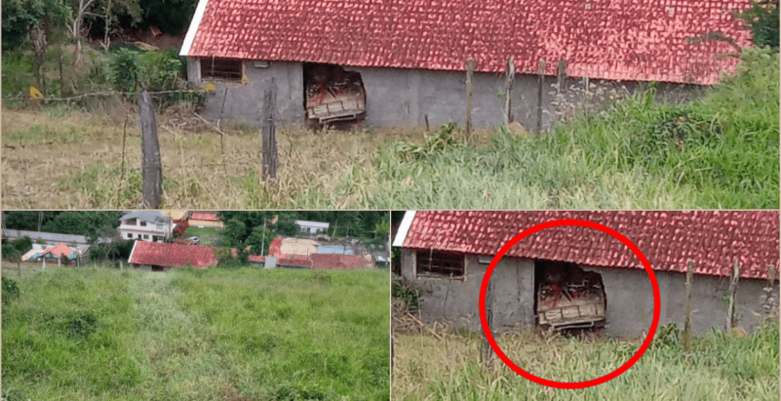 Veículo da Prefeitura de Cantagalo invade loja de materiais de construção