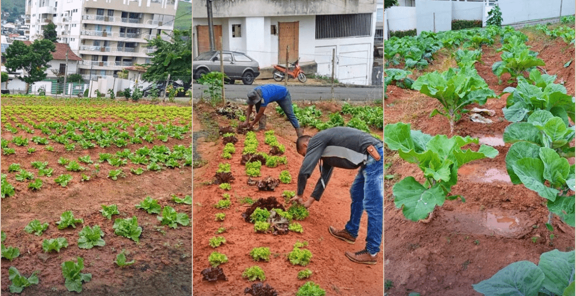 Programa de hortas comunitárias é sucesso em Itaperuna
