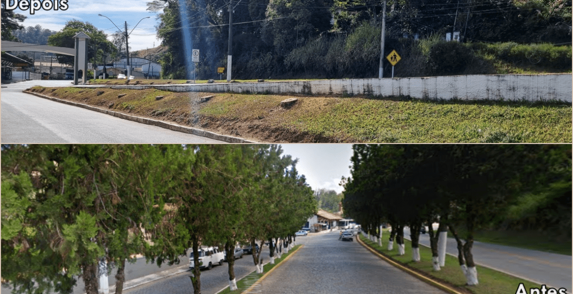 Moradores denunciam corte de árvores na entrada de Monnerat, em Duas Barras