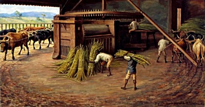 Sons da roça: uma viagem ao passado da zona rural de Cantagalo 3 Moinho de uma fazenda de Cantagalo, criação artística do desenhista Guilherme Piso.