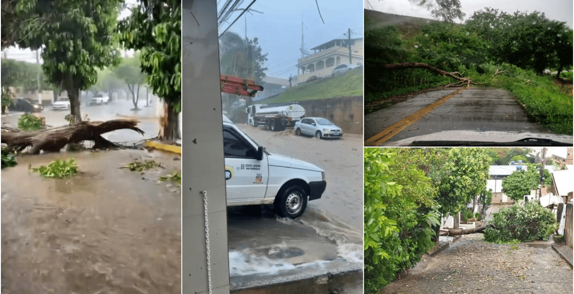 Vídeo: Temporal com rajadas de vento causa transtornos em Carmo