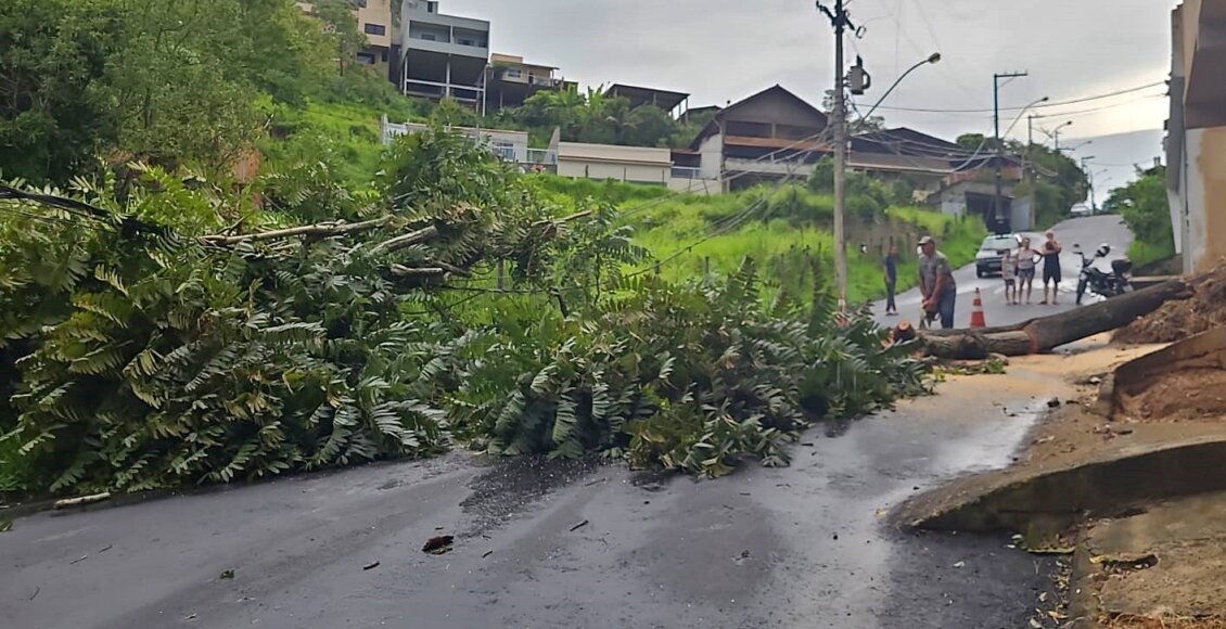 Queda de árvore deixa moradores do Passos dos Reis sem energia em Cantagalo