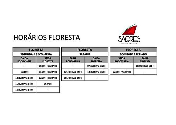 Ônibus de tarifa zero melhoram a qualidade do transporte público em Cantagalo 4 420261918 18104198593369538 1439321982295901495 n