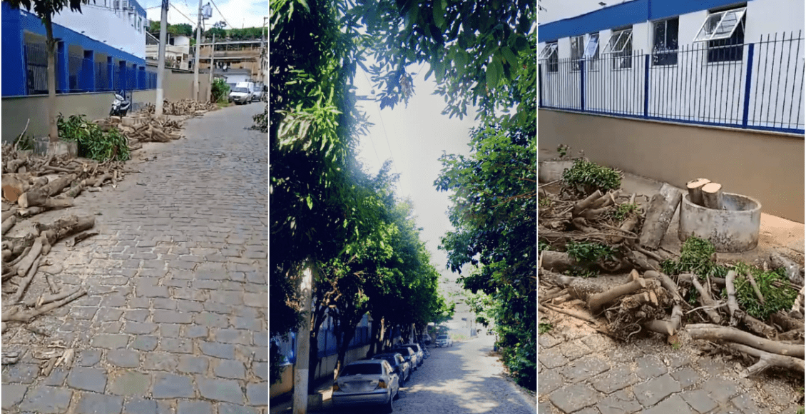 Prefeitura corta várias árvores e revolta moradores em Itaocara