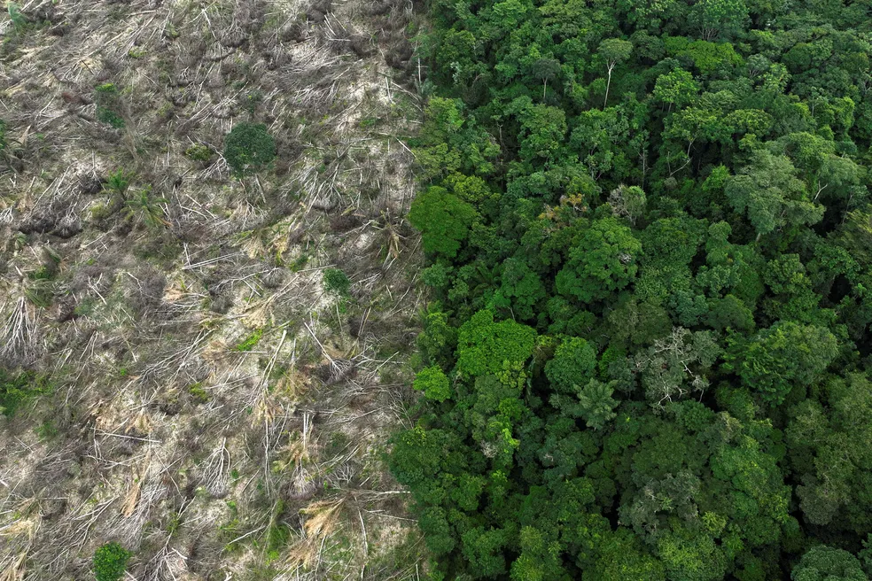 Devastação na Amazônia pode se tornar irreversível até 2050, alerta estudo