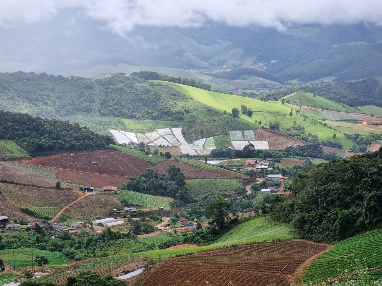 Documentário mostra agricultura familiar na histórica Fazenda Rio Grande 2 Vista de Serra Velha, a aproximadamente 1.300m de altitude, e abaixo Serra Nova. Acervo pessoal.