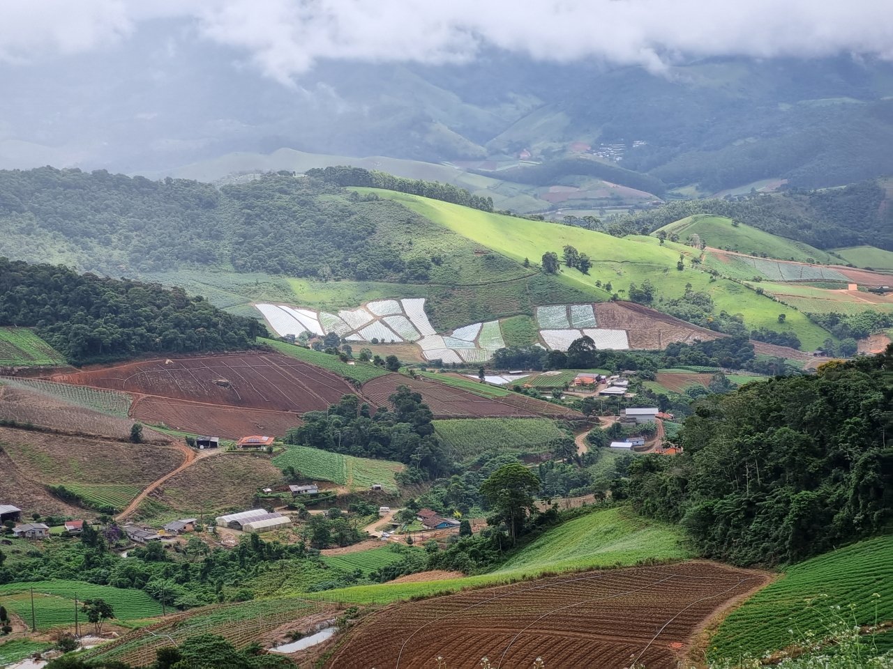 Vista de Serra Velha, a aproximadamente 1.300m de altitude, e abaixo Serra Nova. Acervo pessoal.