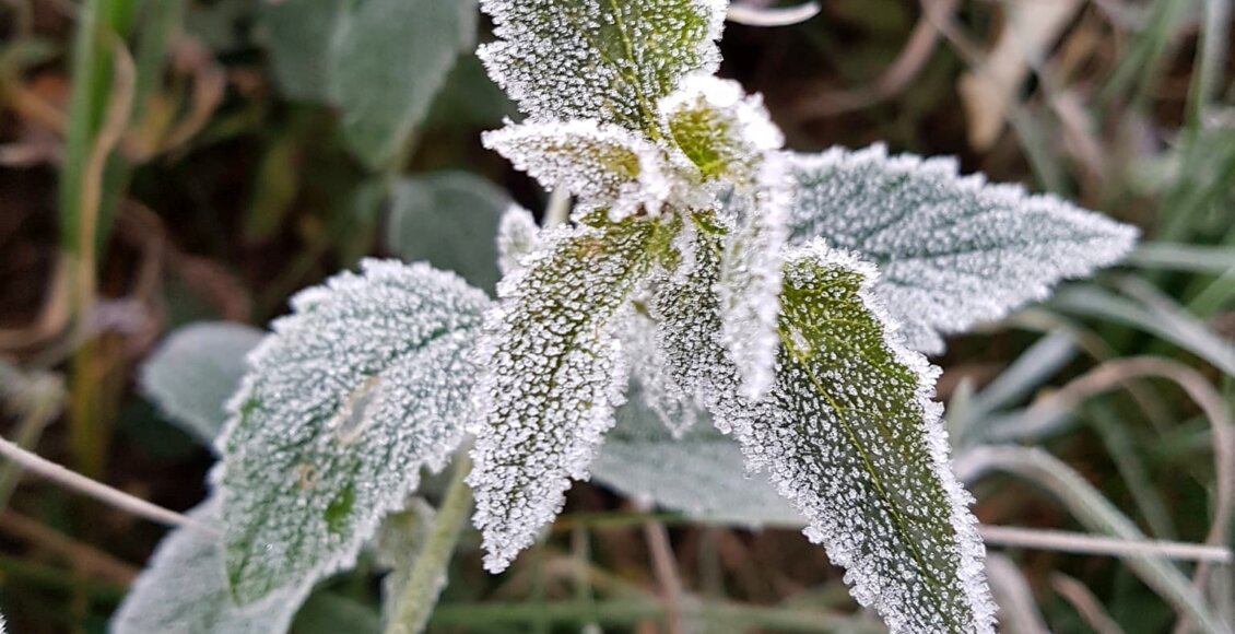 Primeira onda de frio do inverno chega neste fim de semana no RJ