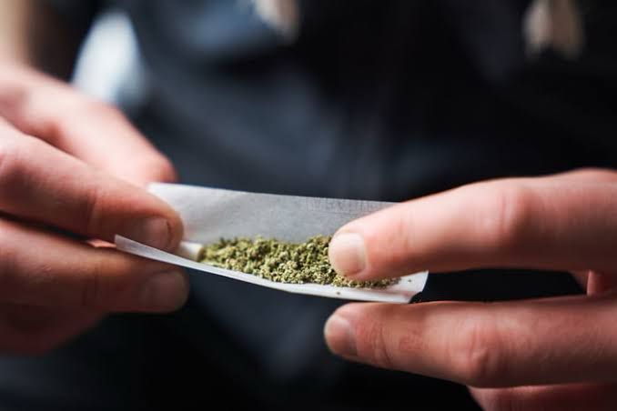 Porte de maconha para consumo próprio é descriminalizado no Brasil
