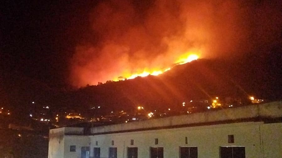 Incêndio de grandes proporções atinge vegetação em Cordeiro