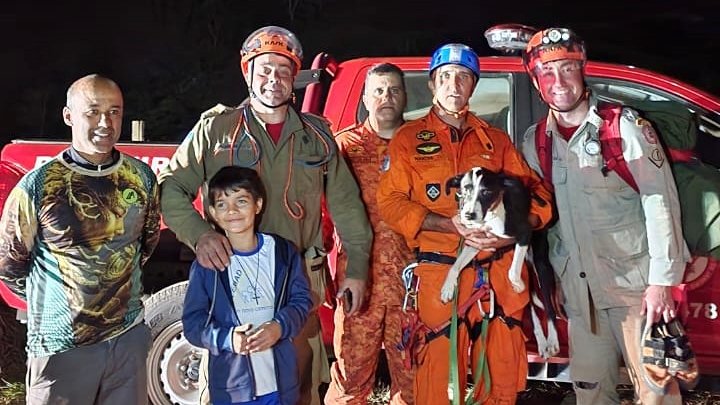 Vídeo: Bombeiros resgatam cachorro em operação heroica em Madalena