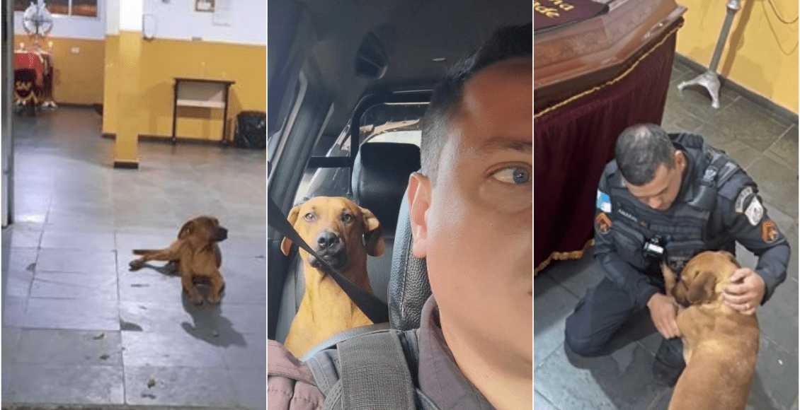 a collage of a man and a dog