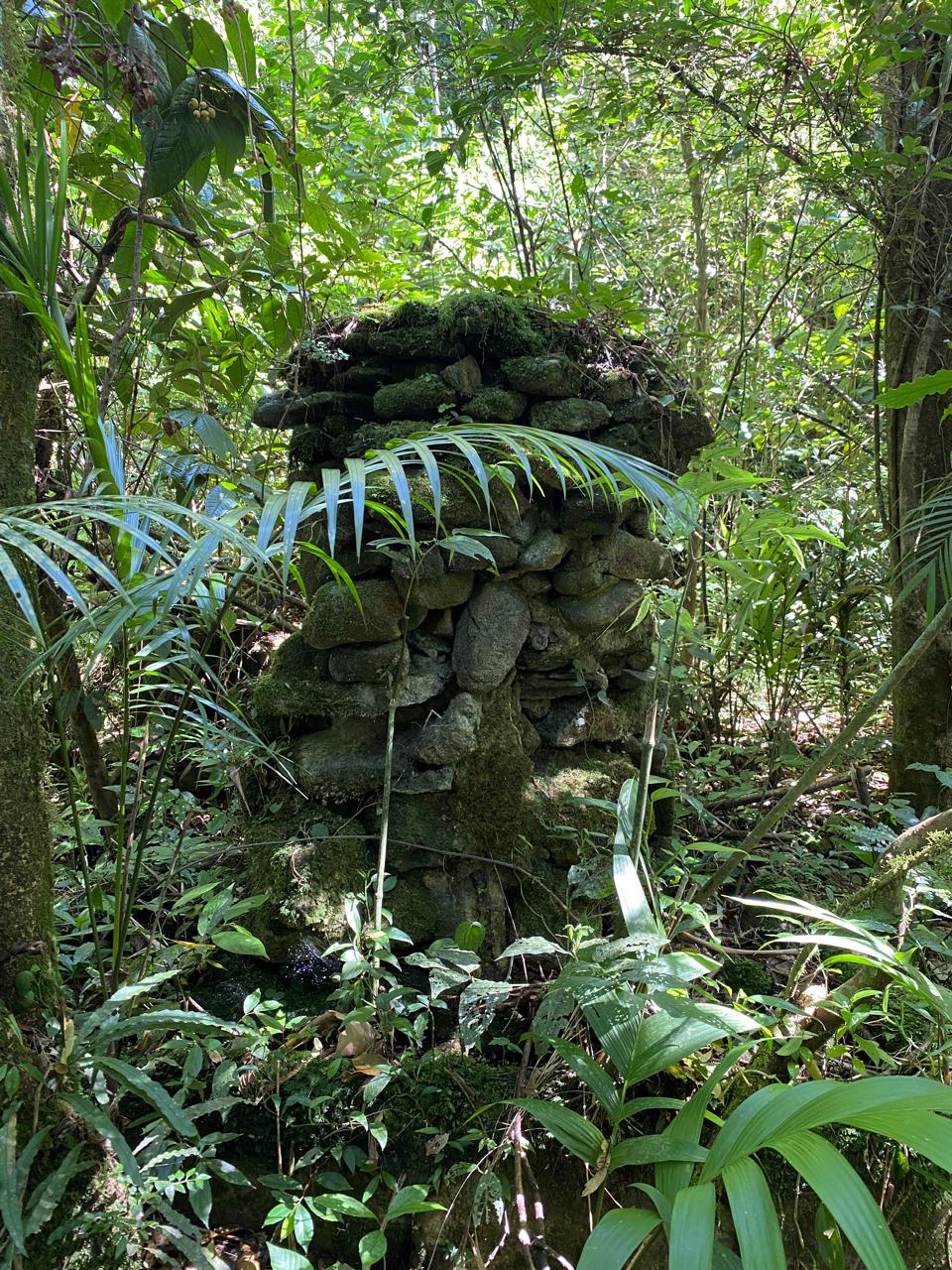 Memória do leito ferroviário: Cachoeiras de Macacu a Nova Friburgo 16 Ruinas da fonte artificial do Posto do Registro. Acervo Gabriel Paulino