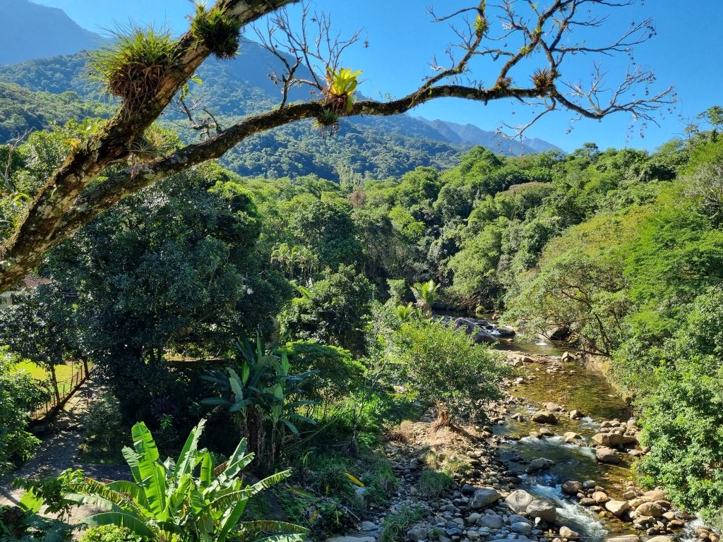 Memória do leito ferroviário: Cachoeiras de Macacu a Nova Friburgo 12 Vista da ponte sobre o rio Macacu que desce a serra formando cachoeiras. Acervo pessoal