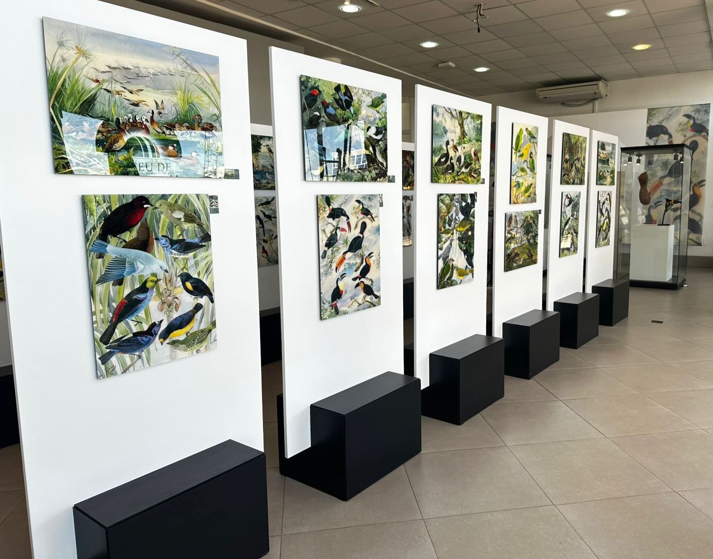 Mostra interativa sobre o legado suíço na Amazônia acontece em Nova Friburgo 1 06 Credito Associacao Oswaldo Goeldi
