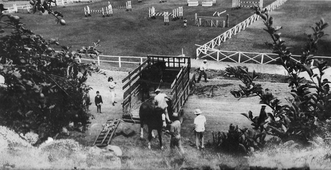 Nova Suíça Country Club: o Jockey de Nova Friburgo 5 Na imagem desembarque de um cavalo. Acervo pessoal