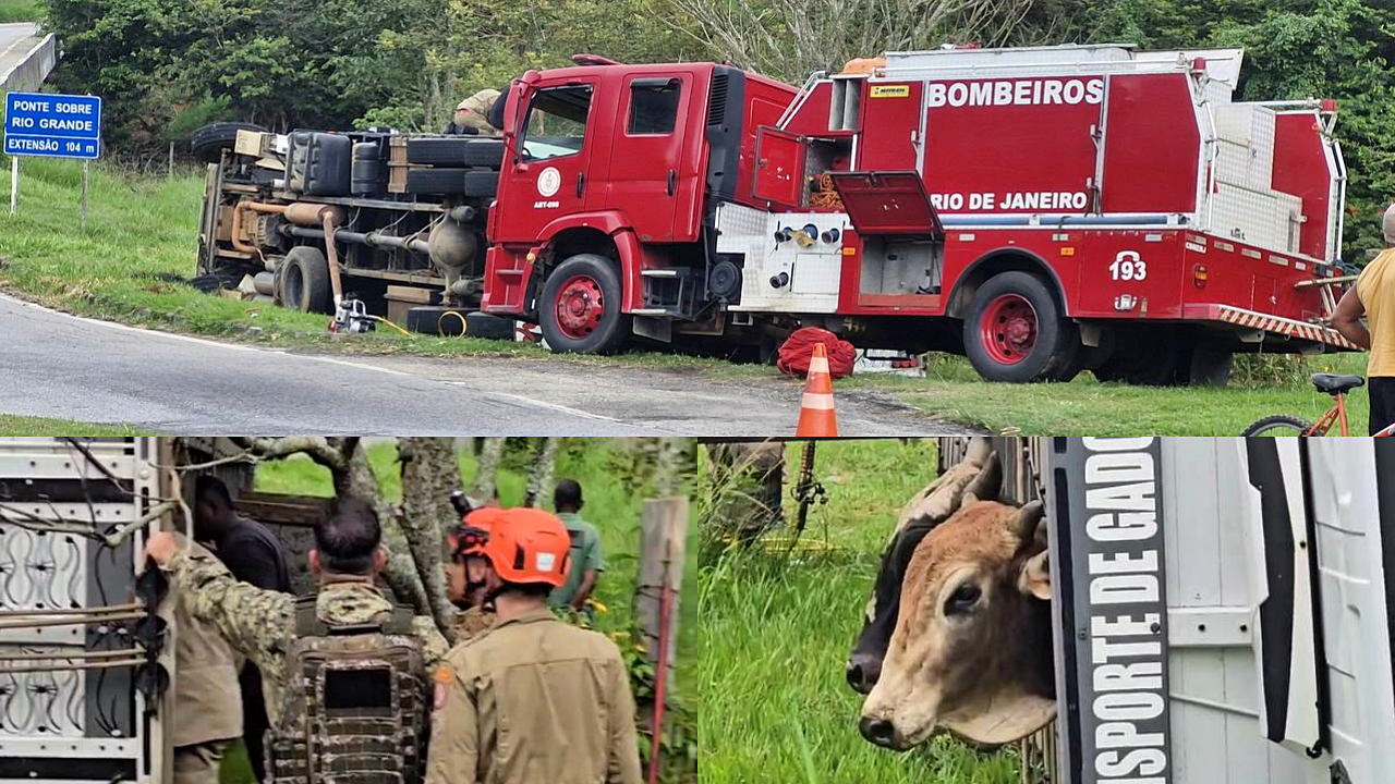 Carreta com bois tomba no trevo de Manoel de Moraes, em Santa Maria Madalena 1 acidente trevo manoel de moraes