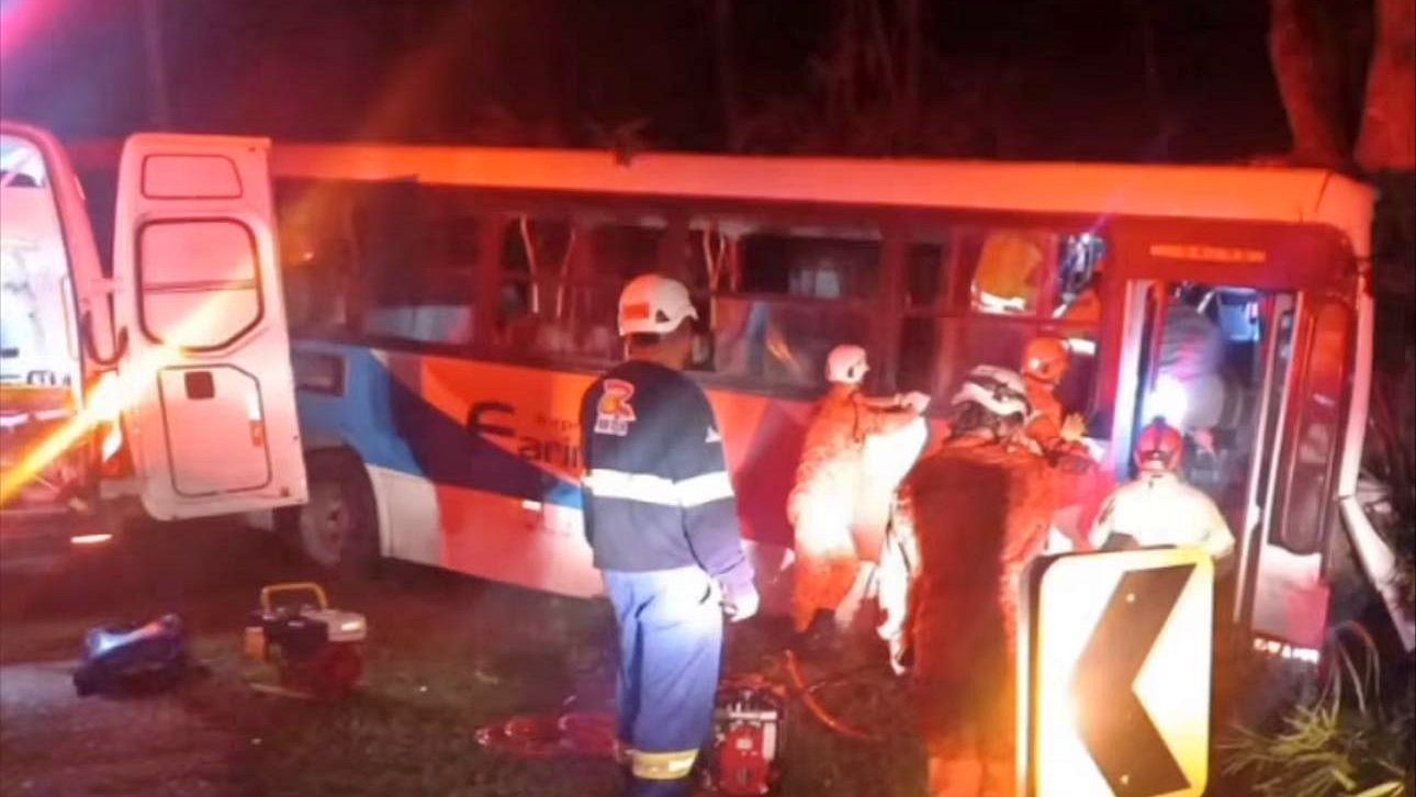 Ônibus bate em árvore na RJ-116 e mobiliza equipes de resgate em Bom Jardim 1 acidente onibus