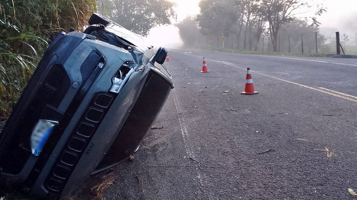 carro floresta