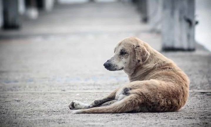 Castramóvel de Cantagalo, nunca usado, pode finalmente entrar em operação