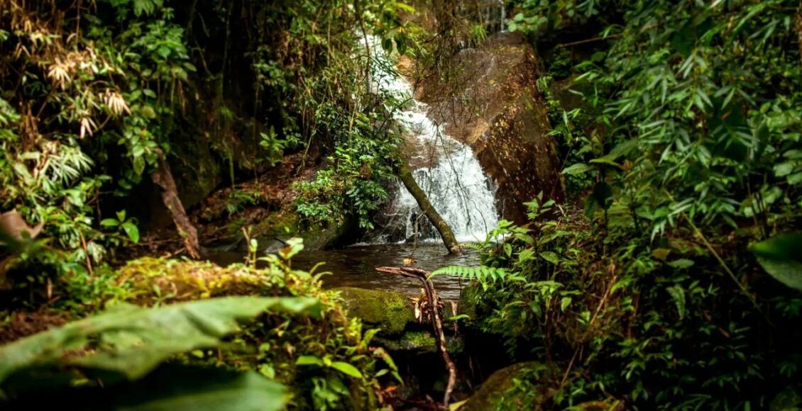 Nova Friburgo recebe as primeiras Cotas de Reserva Ambiental do Brasil
