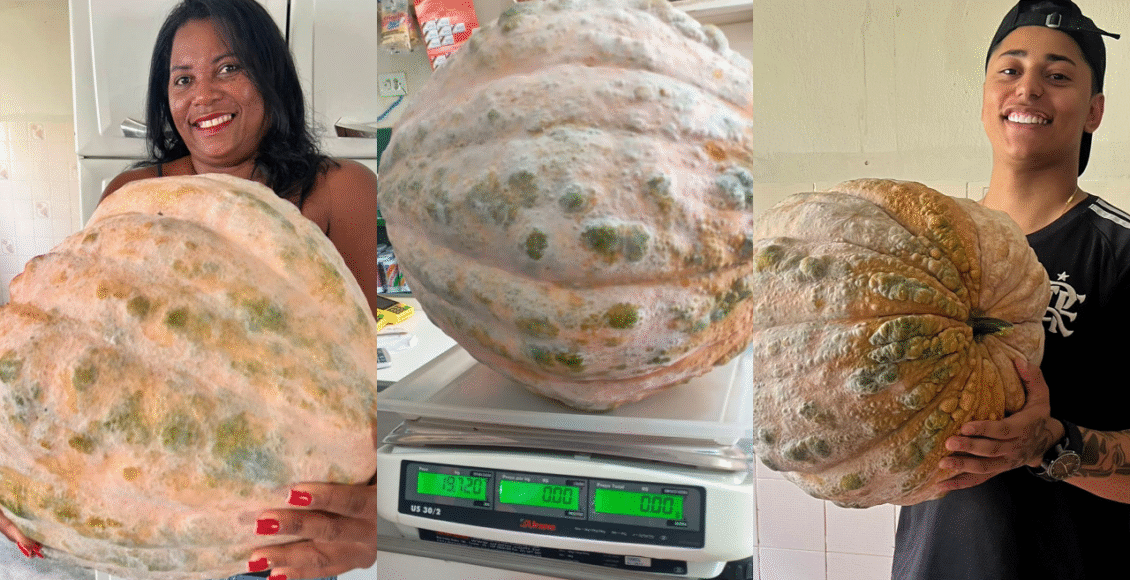 Abóbora gigante de quase 20 kg chama atenção em Itaocara
