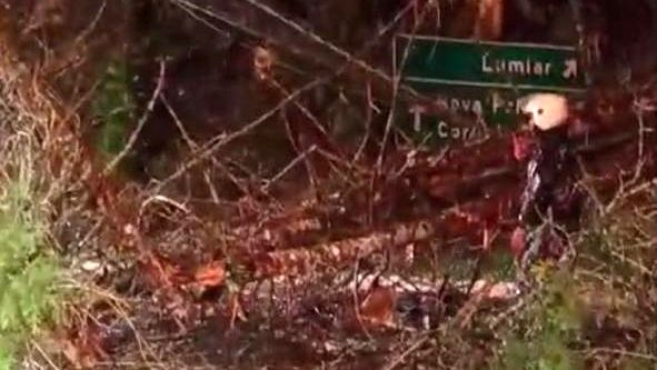 Queda de árvore causada por ventania mata motociclista em Nova Friburgo
