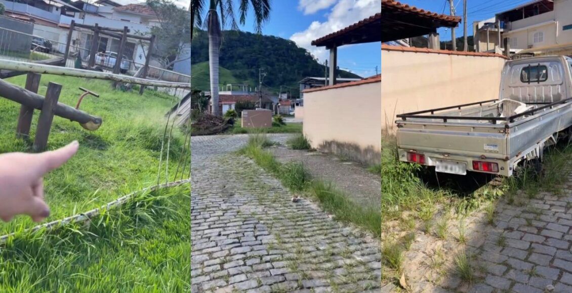 bairro com muito mato