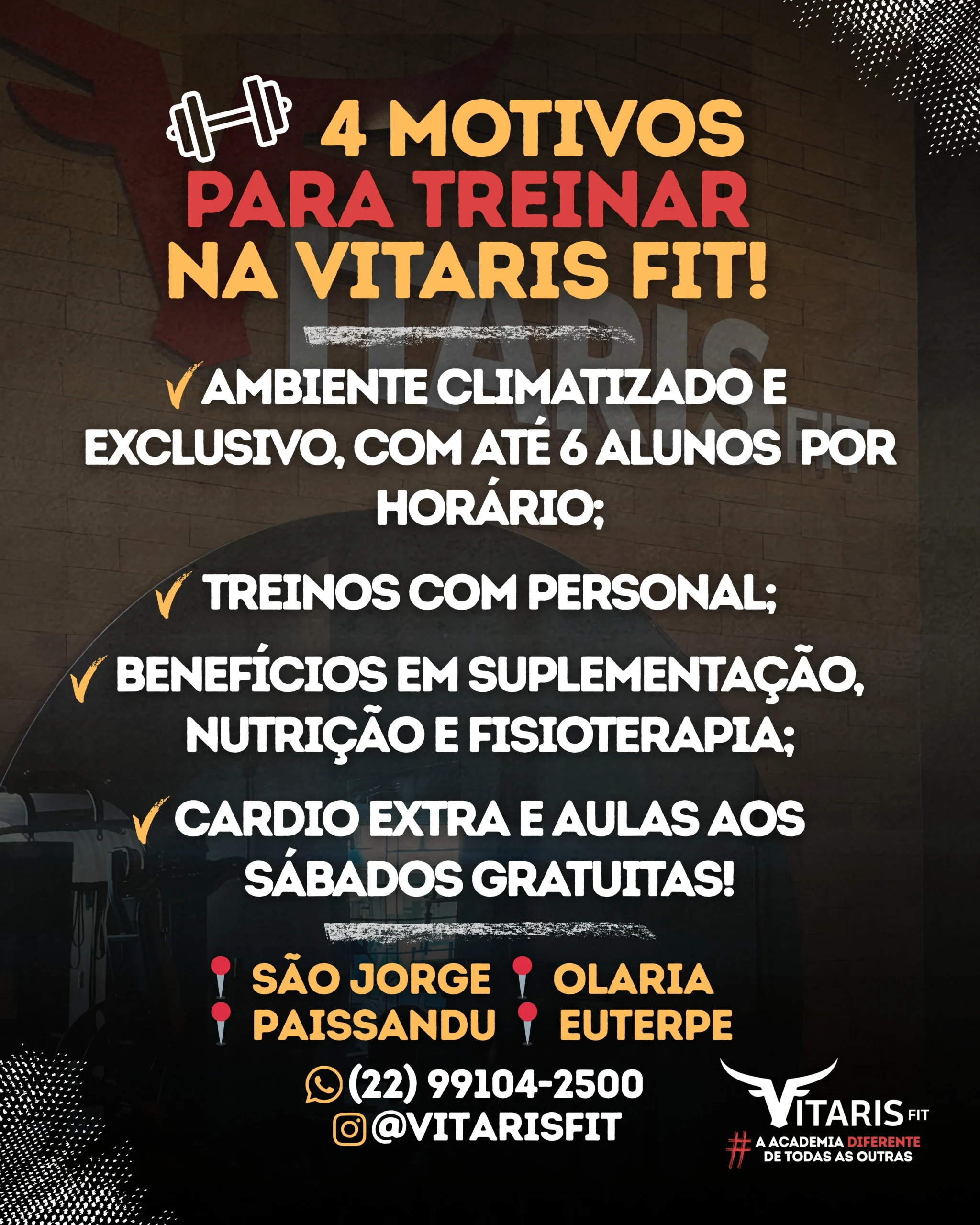 VitarisFit 1350×1080 pxl WebP (Lateral Home Page)