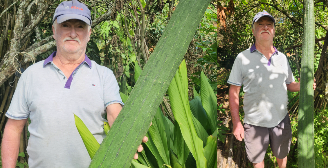 produtor rural e bucha vegetal gigante